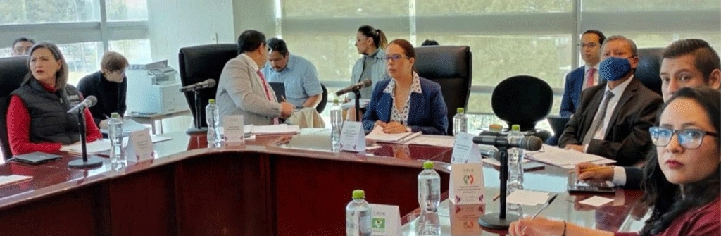 convocatoria a candidatura independiente