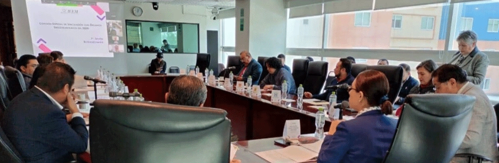 convocatoria a candidatura independiente