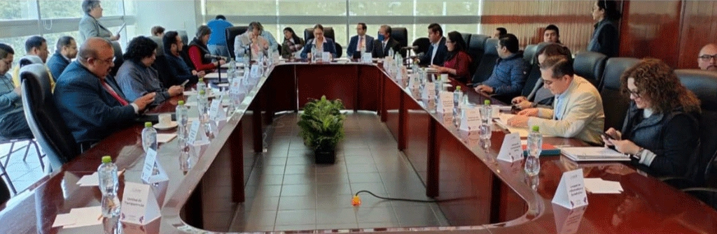 convocatoria a candidatura independiente