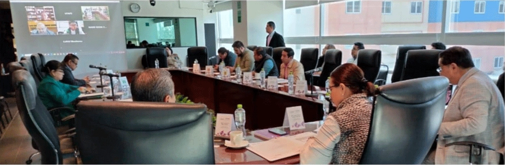 convocatoria a candidatura independiente