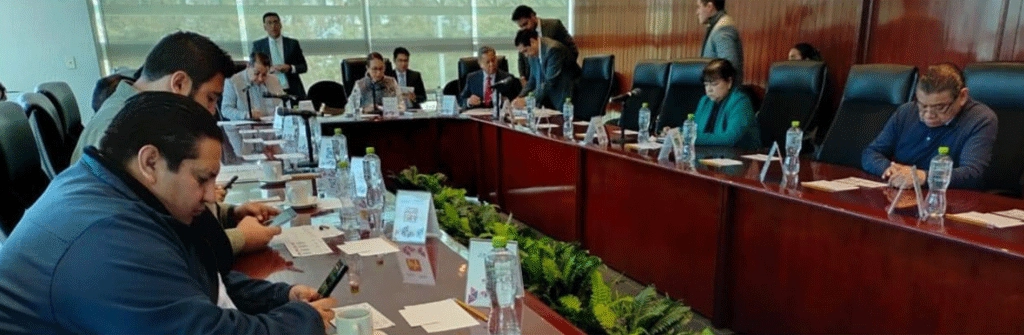 convocatoria a candidatura independiente