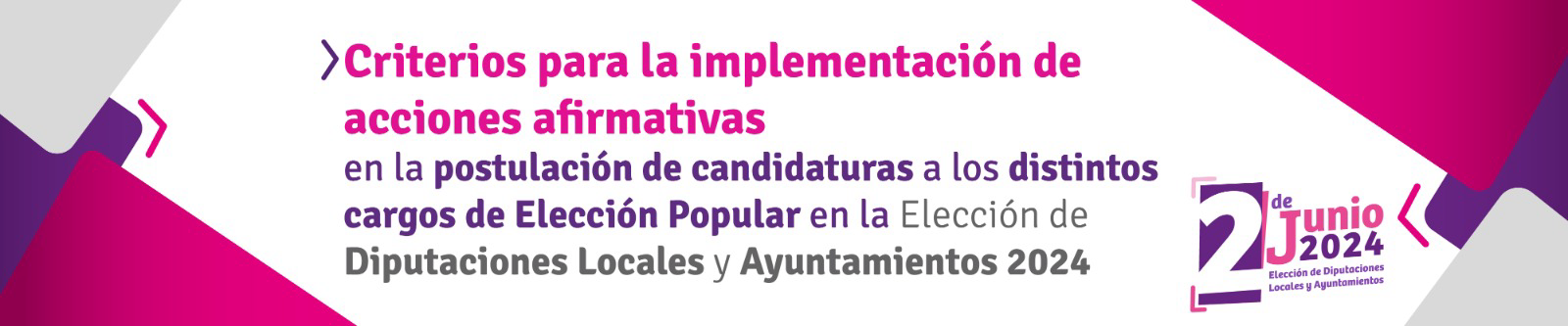 Criterios para la implementación de acciones afirmativas en la postulación de candidaturas a los distintos cargos de Elección Popular en la Elección de Diputaciones Locales y Ayuntamientos 2024