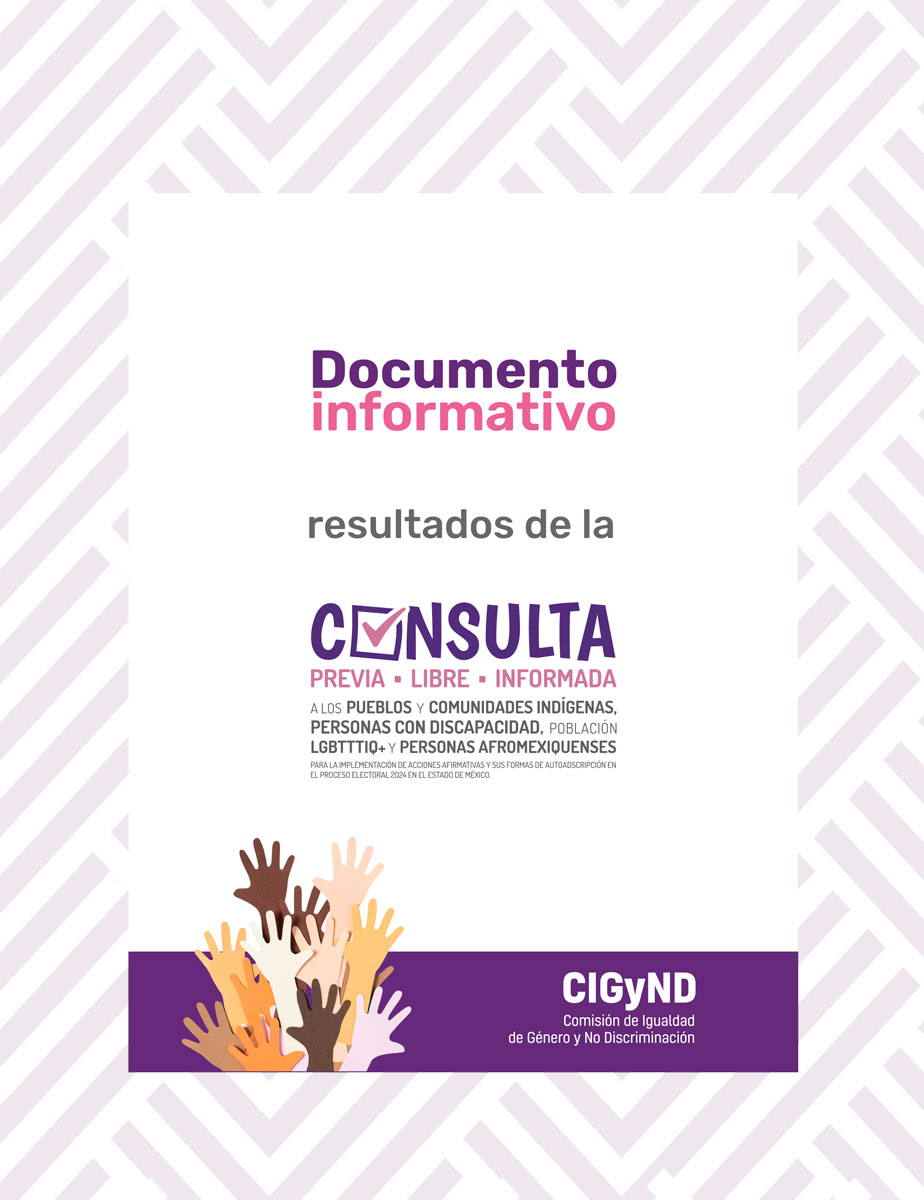 Documento Informativo Resultados de la Consulta