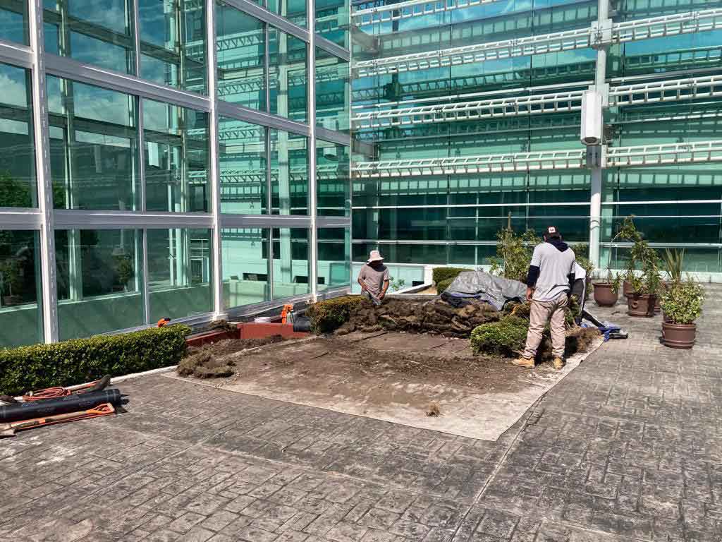 convocatoria a candidatura independiente